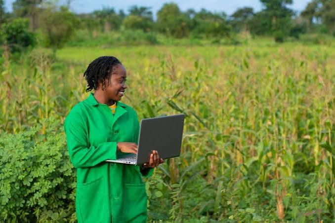 Sustainable Farm Management