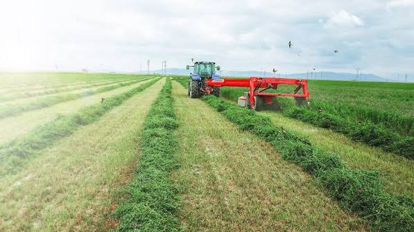 Farm Enterprise Development